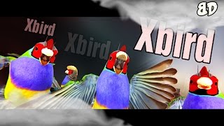 Let's Play: Xbird!