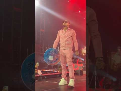 Muy duros Carlos Montesquieu y Capitan Aloo en concierto de Shadow Blow