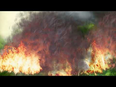 basic fire overlay 002