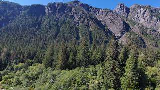 Paradise, deep in sasquatch country.