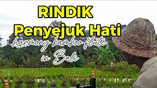Download lagu Bali Rindik Bamboo Music relaxing mp3