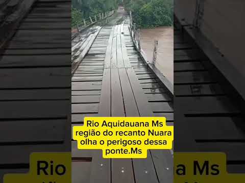 CHUVA EM MATO GROSSO DO SUL#brasil #shortvideo #pantanal #shortsfeed #short #shorts#viral #fishing