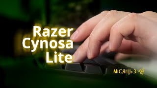 Razer Cynosa Lite (RZ03-02740600-R3M1) - відео 1