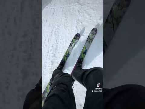 Line Pandora 94 Review 2024