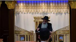 הרב מאיר דוד שמואלי שליט"א - שידור חי יום ב - פרשת אחרי - קדושים תשפ"ו