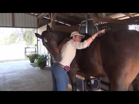 Beginner Riders Most Common Mistakes, Part II