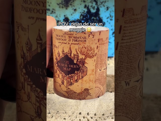 Vídeo relacionado con Harry Potter Hogwarts Sin clasificar Taza multicolor cerámica