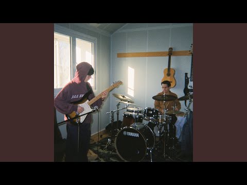 Sunflowers - Sunburzt