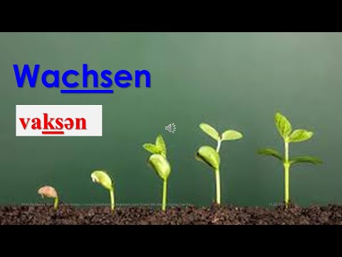 #german #pronunciation German  CH pronunciation (IG)   /sh/  / k/