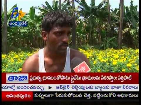 Flowers not yet seen in East Godavari though the Kartika masam started_27Oct 2014