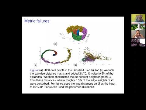 MINDS Seminar: Anna Gilbert, May 7, 2020, Metric representations: Algorithms and Geometry