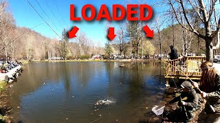 Trout Fishing OPENING DAY in Cherokee, NC (CROWDED POND FISHING)