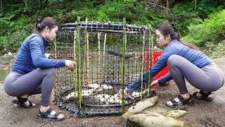 Fishing Techniques / Unique Fishing / Girl Creates Fish Traps with Plastic Pipes / Caught Big Fish