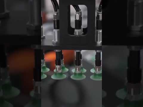 Video 8