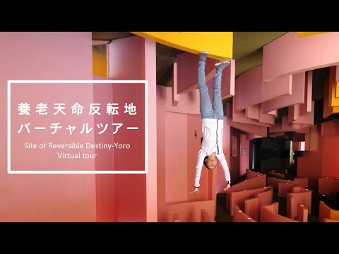 養老天命反転地 バーチャルツアー / Virtual tour of the site of Reversible Destiny-Yoro
