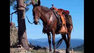 TERESA BREWER - COOL WATER