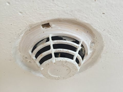 Detecteur de Chaleur - DO NOT PAINT - SO23 PROTEG