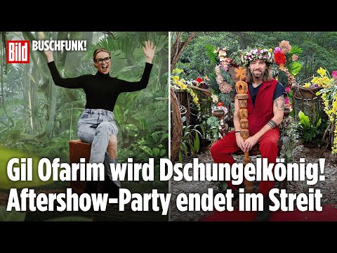 DSCHUNGELCAMP FINALE: Brisante Details um umstrittenen Dschungelkönig Gil Ofarim