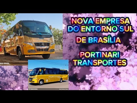 Nova empresa do entorno sul de Brasília, portinari transportes 