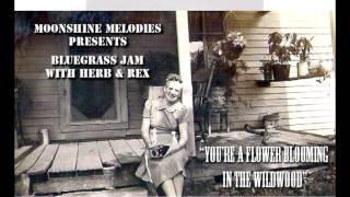 "You're A Flower Blooming In The Wildwood"