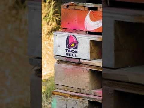 Taco Bell Logo Custom Layered Stencil Set | Stencil Stop