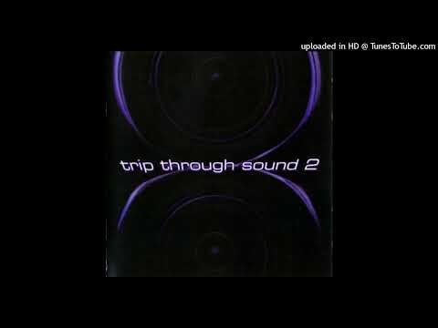 01. Montauk P - Hallucinate