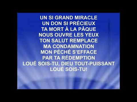 UN SI GRAND MIRACLE - Mae Andrazz (cover) David Durham