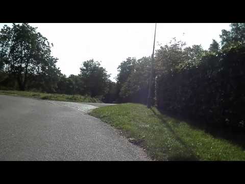 MongoTV_129 - Del 2 - Skovtur - På Vej Ind i Den Dybe Skov