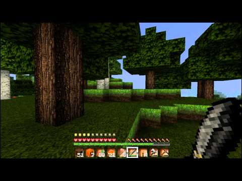 Let's play Minecraft [Ganz lieber Hund] #2