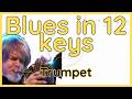 Blues in 12 Keys (Tom Harrell) Trumpet Solo Transcription