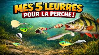 Mes 5 LEURRES Pour la Perche !! OUVERTURE CARNASSIER 2026