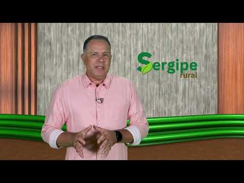 SERGIPE RURAL - PROGRAM 13 - 2nd season