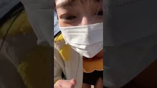 ミニすぎた #shorts #bbbbダンス