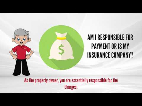 16. Who Is Responsible For Payment? thumbnail