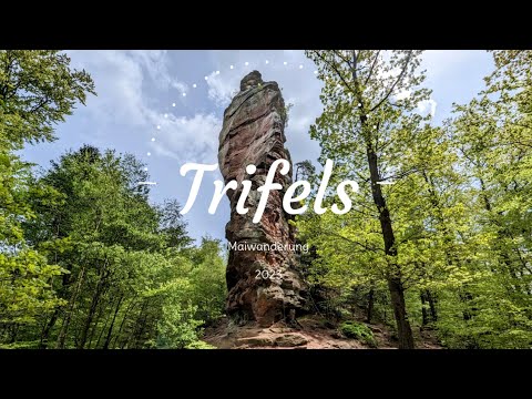 Gestrandet @ Burg Trifels / Annweiler am Trifels