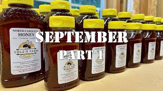 September Part 1 | #colesfarmnc #jacksonvillenc #beekeeping