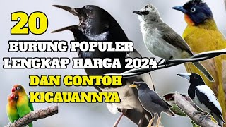 Download lagu 20 BEST, MOST POPULAR TYPES OF SINGING BIRDS IN INDONESIA COMPLETE WITH PRICES 2024   EXAMPLES OF... mp3