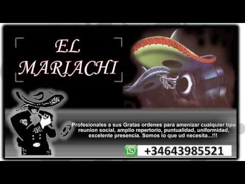 Mariachi Madrid Internacional