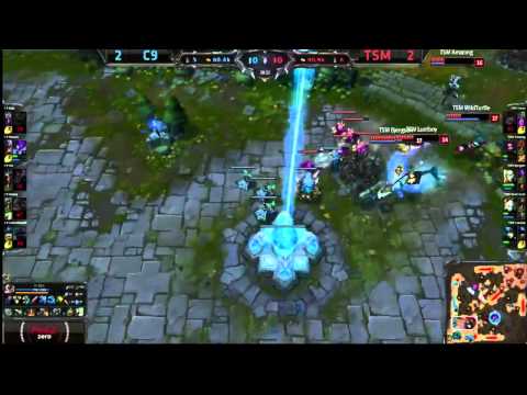 TSM Season Ending Fight ft. WildTurtle Quadra - TSM vs C9 Playoffs Final