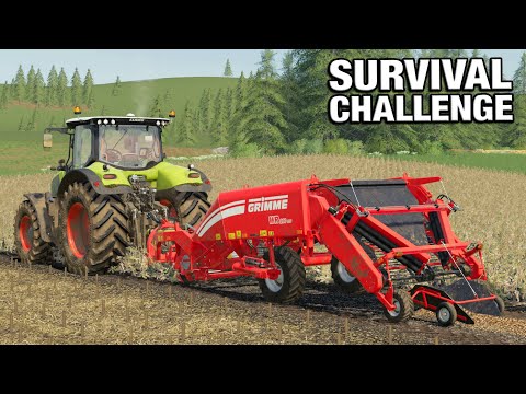 BIGGEST POTATO HARVEST YET!  - Survival Challenge No Mans Land FS19 Ep 95