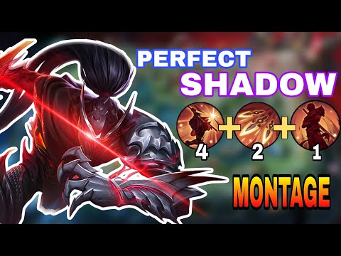 PERFECT SHADOW HAYABUSA MONTAGE