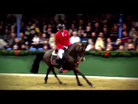 QUIDAMO - www.gestuet-sprehe.de