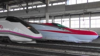 preview picture of video '東北新幹線 E6系がE3系に抜かれた時 一ノ関駅 Shinkansen passing'