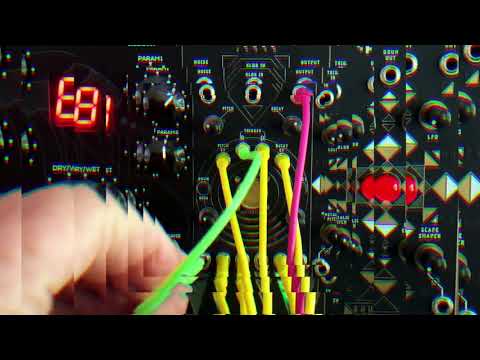 Error Instruments Spanky V2 2022 - Gold drum eurorack noise module