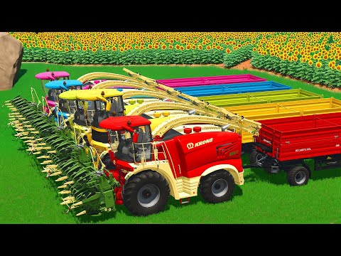 CUT SUNFLOWERS AND MAKE CHAFF WITH KRONE FORAGE HARVESTERS AND DEUTZ FAHR TRACTORS - FS 25