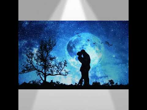 Sin permiso para amarte