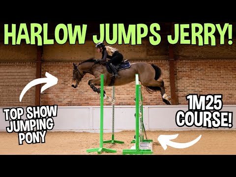 HARLOW JUMPS JERRY! RIDING A TOP SHOWJUMPING PONY ROUND A 1M25 COURSE!