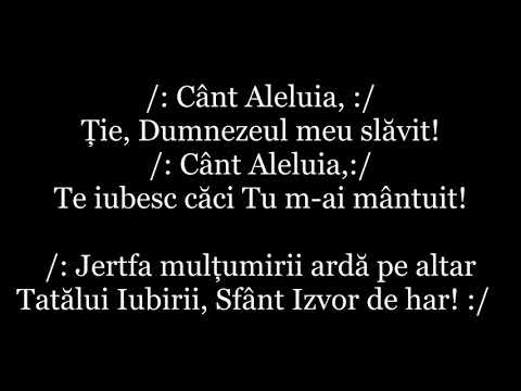 20. Cant Aleluia, Tie, Dumnezeul meu slavit   negativ cu versuri