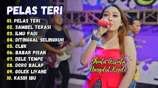 Download lagu Shinta Arsinta - PELAS TERI - SAMBEL TERASI | Rena Ft. Arya - ILMU PADI || FULL ALBUM DANGDUT mp3 Download lagu Shinta Arsinta - PELAS TERI - SAMBEL TERASI | Rena Ft. Arya - ILMU PADI || FULL ALBUM DANGDUT mp3
