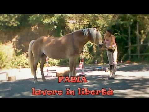 Fabia - Lavoro In LIbertà